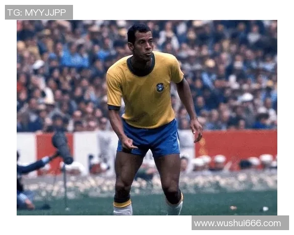 世界足球十大球星风采揭秘:他们如何改变了足球历史和未来